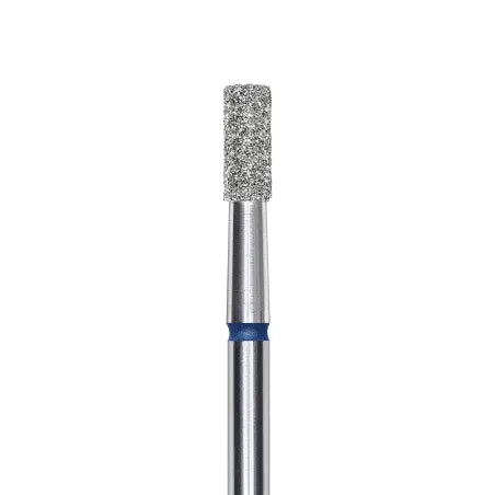 STALEKS EXPERT
Fresa diamantata «Cilindro» blu, diametro 2,5 mm, parte lavorativa 6 mm